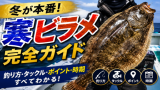 寒ビラメ｜釣り方・時期・ポイントを実釣目線で徹底解説