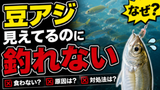豆アジが釣れない原因は針サイズ?!【完全攻略保存版】