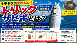 トリックサビキとは？普通のサビキより釣れる理由と釣り方ガイド
