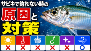 サビキで釣れない時の原因と対策|プロが教える即修正マニュアル