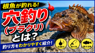 穴釣り(ブラクリ)入門|初心者でも簡単に根魚を釣る方法と仕掛け・エサ・場所ガイド