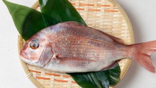 【真鯛】釣れたら絶対作るべき極上真鯛料理5選