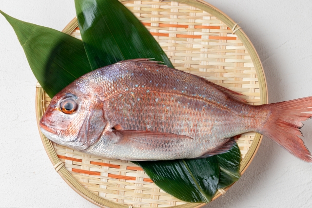 【真鯛】釣れたら絶対作るべき極上真鯛料理5選