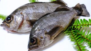 【メバル】釣れたら絶対作りたい！定番＆絶品料理5選