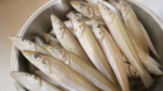 【キス】釣れたら絶対作りたい！絶品料理５選