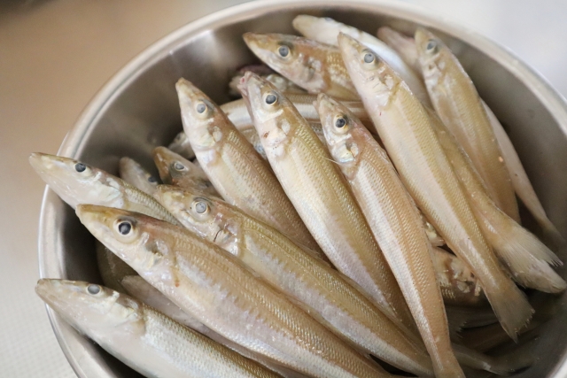 【キス】釣れたら絶対作りたい！絶品料理５選