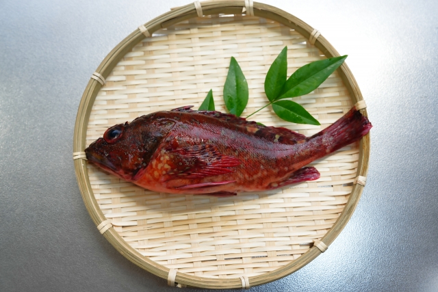 【カサゴ】釣果をおいしく！すぐ作れるレシピ5選
