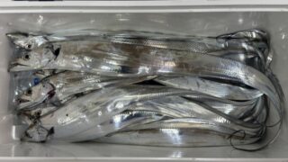 【太刀魚】釣れたら絶対作るべき絶品料理５選