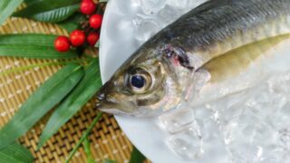 【アジ】今夜の主役はこれに決まり!外さない王道アジ料理5品!