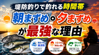 堤防釣りで釣れる時間帯|朝まずめ・夕まずめが最強な理由