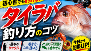 【初心者向け】タイラバ完全ガイド|真鯛が釣れる基本とコツを徹底解説