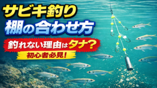 サビキ釣り棚の合わせ方|初心者でも釣れる棚の探し方とコツを解説