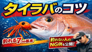 タイラバで釣れない人の共通点7選｜“釣れる巻き方”の全て