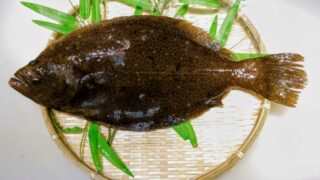 【ヒラメ】釣れたヒラメをもっと美味しく!定番料理5選