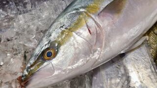 【ブリ】釣り人がハマる絶品料理5選