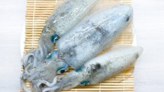 【アオリイカ】釣り人だけが知ってる絶品アオリイカ料理5選