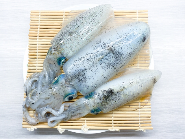 【アオリイカ】釣り人だけが知ってる絶品アオリイカ料理5選