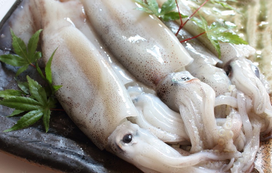 【ムギイカ】釣り帰りにすぐ作れる、簡単ムギイカ料理5選