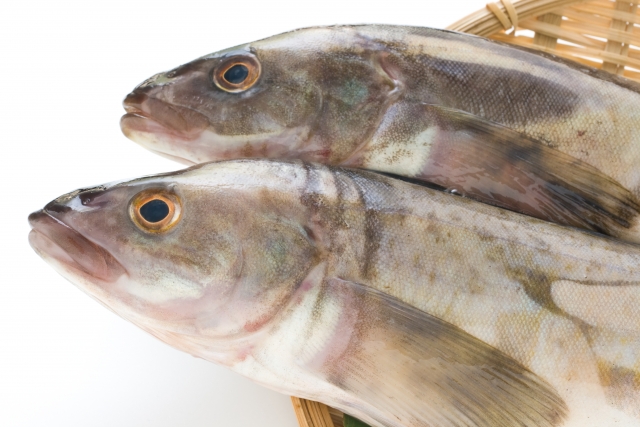 【ホッケ】釣り帰りにすぐ作れる、簡単ホッケ料理5選