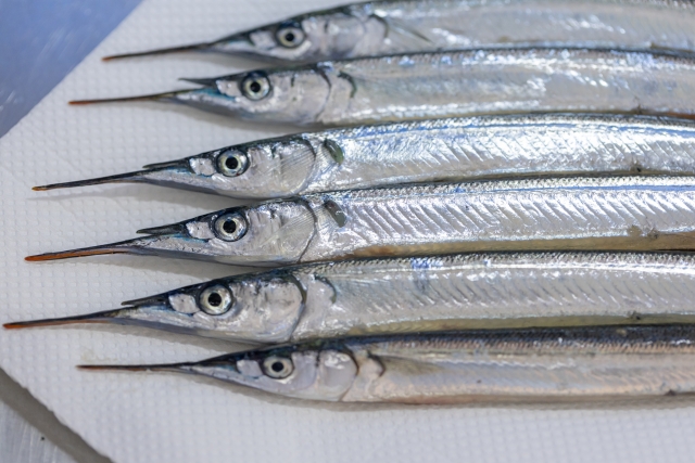 【サヨリ】釣り帰りにすぐ作れる、簡単サヨリ料理5選