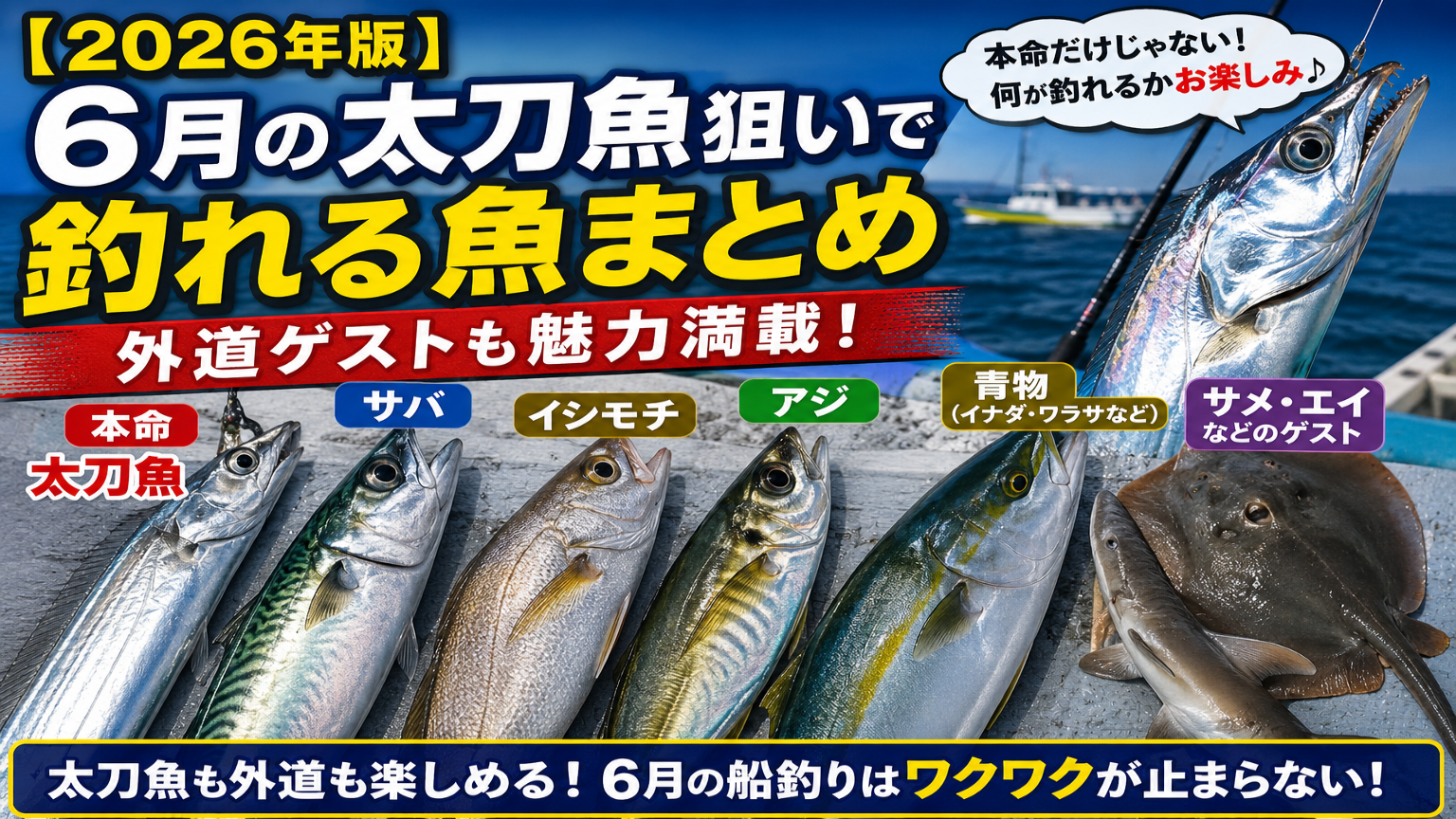 【2026年版】関東6月の太刀魚狙いで釣れる魚まとめ｜外道も魅力満載