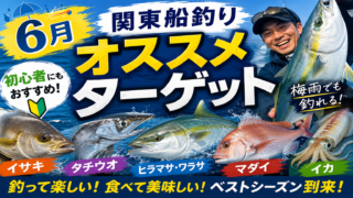 【6月の関東船釣り】梅雨でも激アツ!初心者からベテランまで楽しめるオススメターゲット紹介