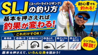 SLJ(スーパーライトジギング)の釣り方|初心者でも釣れる基本