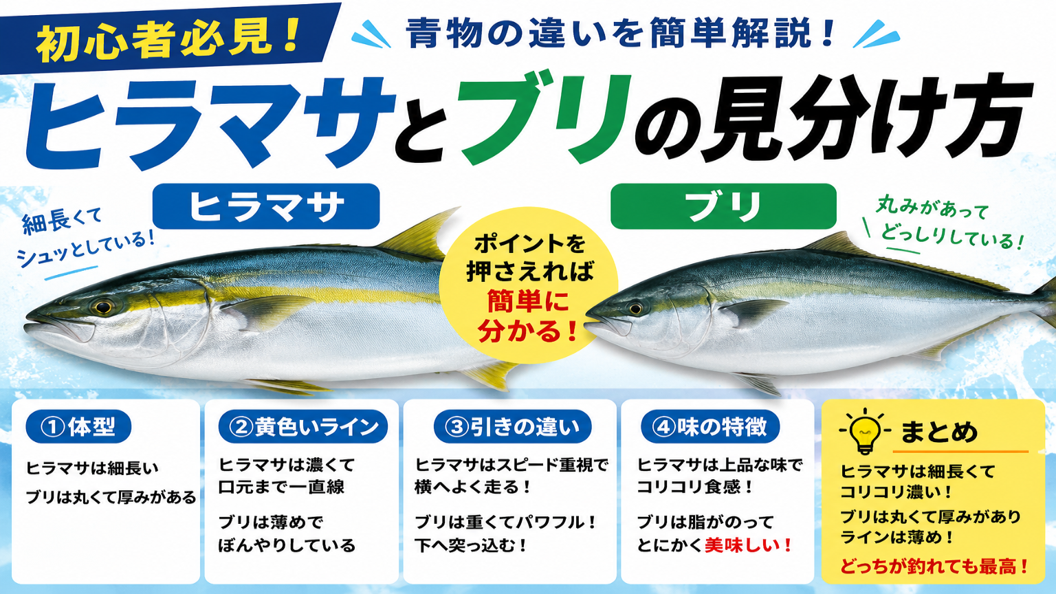 【初心者必見】ヒラマサとブリの見分け方！違いを簡単に解説