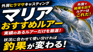 【2026年版】外房ヒラマサキャスティング|マリアおすすめルアー完全ガイド