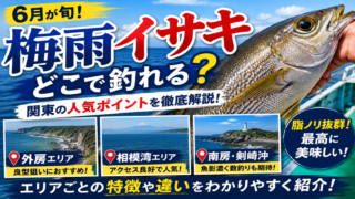 【梅雨イサキどこで釣れる?】関東の人気ポイントとおすすめエリアを解説!